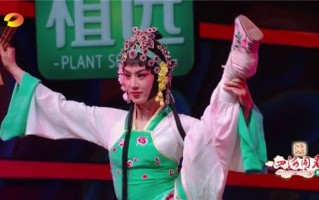 央视春晚京剧联唱，央视春晚京剧联唱六月雪团圆