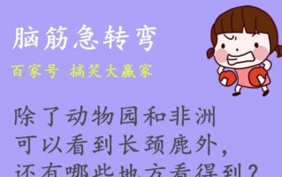 小学生励志幽默笑话，小学生励志幽默笑话短句