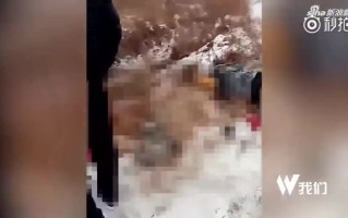 葡萄牙灵异车祸事件视频翻译，葡萄牙灵异车祸事件视频翻译英文版