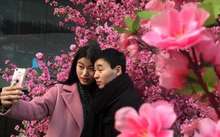 碗碗腔人面桃花伴奏，碗碗腔人面桃花伴奏带